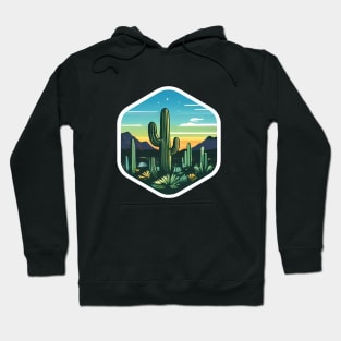 Saguaro national park Hoodie